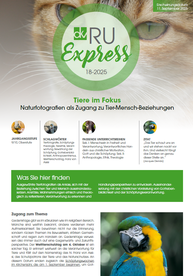 Detailbild:91956E